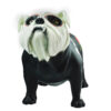 BULLDOG CATRINA - Image 9