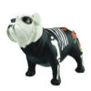 BULLDOG CATRINA - Image 10