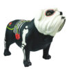 BULLDOG CATRINA - Image 11