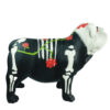 BULLDOG CATRINA - Image 13