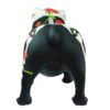 BULLDOG CATRINA - Image 12