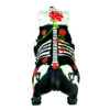 BULLDOG CATRINA - Image 8