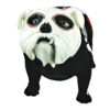 BULLDOG CATRINA - Image 7