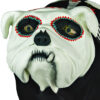 BULLDOG CATRINA - Image 6